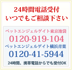 0120-919-104(東京池袋)/0120-41-5944(横浜青葉)