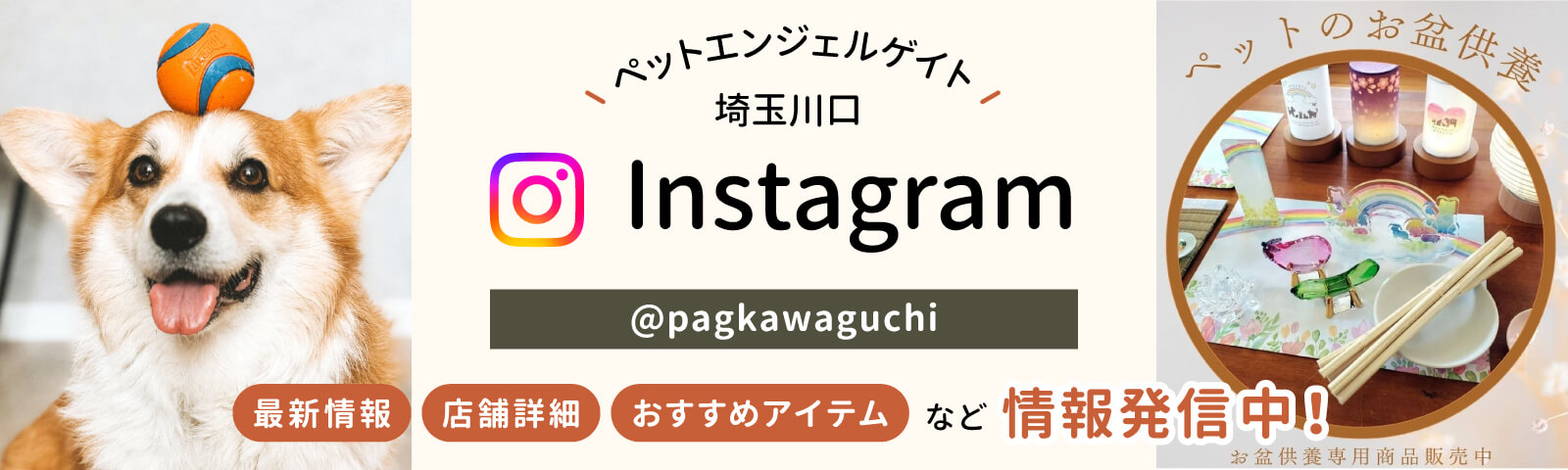 ペットエンジェルゲイト埼玉川口 Instagram